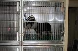 CAGE DE REPOS 004